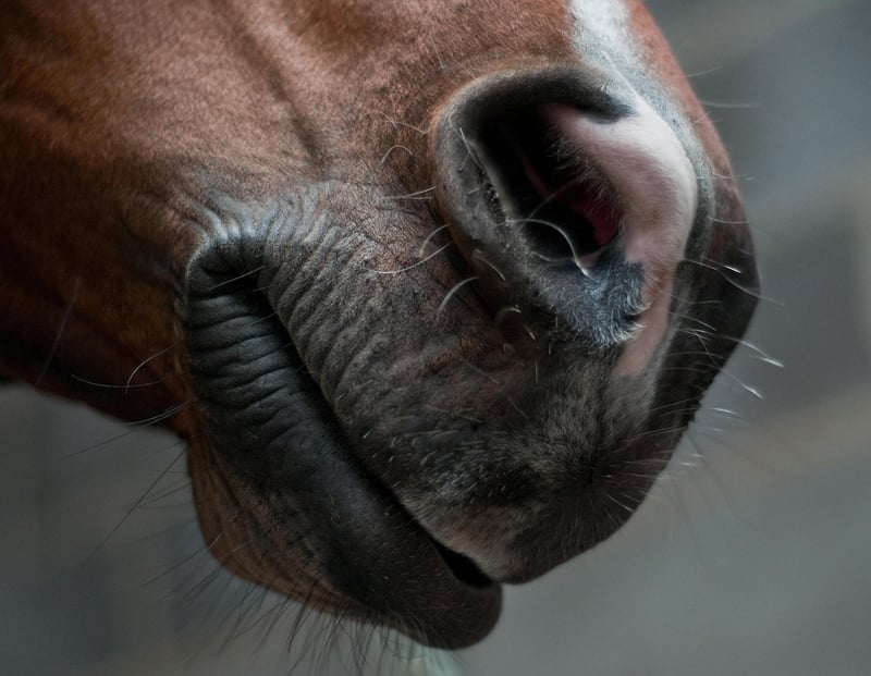 Alternate Nostril Breathing